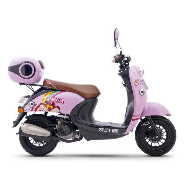 باتری موتور کویر MS1 50