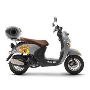باتری موتور کویر MS1 50