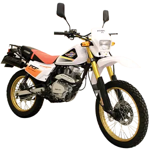 باتری موتور تریل پیشرو XL 200