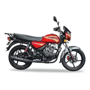 باتری موتور همتاز XTM 200