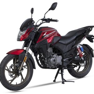 باتری موتور DS200